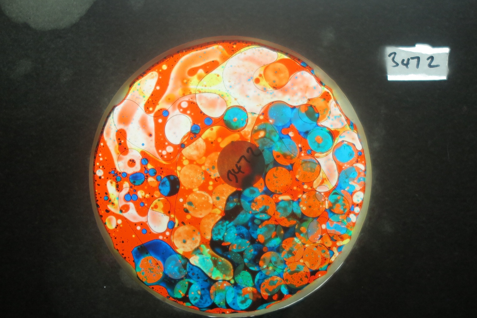 BV3472 bubble vision oil wheel